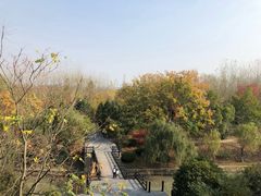 -合肥三国新城遗址公园