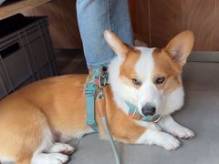 -胡叨叨黄油砂锅焗海鲜(百家湖1912店 )