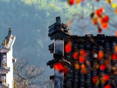 -塔川景区