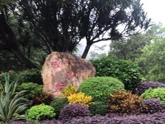 -滴水岩森林公园