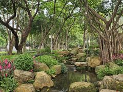 -顺峰山公园