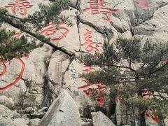 -崂山仰口游览区