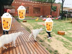 -太阳岛度假酒店