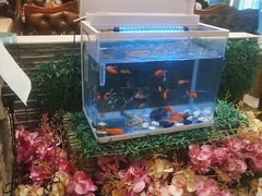 -东方豪客牛排意面披萨(金凤万达店)