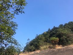 -广州市石门国家森林公园
