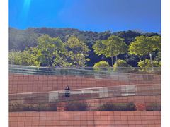 -香港大学