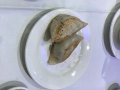 -食为先(Shark Fin)