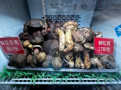 -太婆天府山珍酒楼(亚运村店)