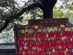 -香山公园