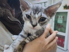 -达爱动物医院·犬猫分区·CT·复杂眼科(远洋山水分院)