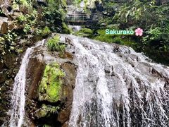 -藏龙百瀑风景区