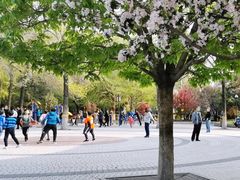 -丰台花园