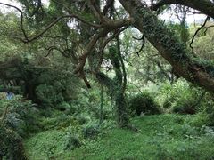 -青芝山风景名胜区