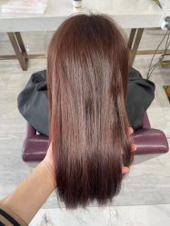 -镁连社·美联社