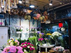 -宝鸡东道花鸟鱼虫市场(吉利花园商场店)