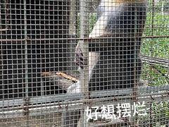 -南宁市动物园