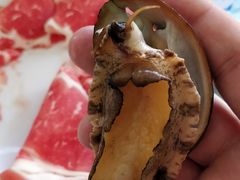 -大连海鲜斑鱼火锅(安平店)