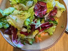 -O'eat Blossom&Pelican(深圳首店)