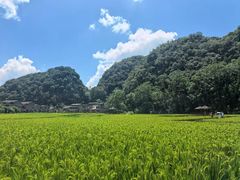 -高荡千年布依古寨旅游景区