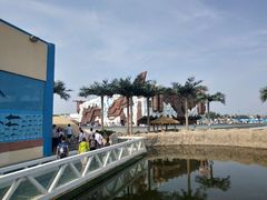 -秦皇岛乐岛海洋王国