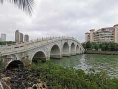 -万绿园