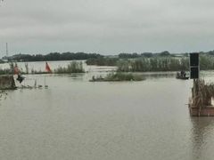 -洪湖生态旅游区