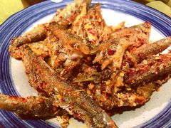 -印象鲵宴·张家界地标美食名片(溪布街店)