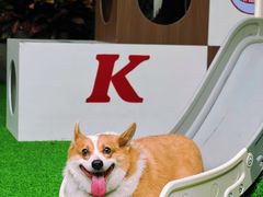 -白云宾馆·白云宴餐厅
