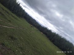 -塞罕坝国家级自然保护区