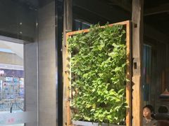 -雀舞云南菜(天津天河城购物中心店)