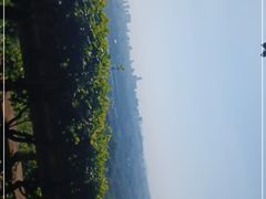 -火炉山森林公园