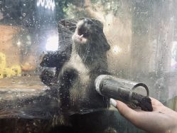 -Zoolung Zoolung动物主题公园(海信广场店)