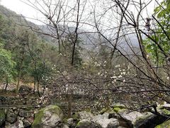 -白云源风景区