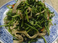 芫爆肚丝-十六中酱肉·烧烤·京菜小馆(五方桥旗舰店)