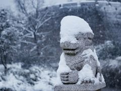 -阅江楼风景区