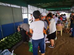-庞各庄西瓜蔬菜采摘园·锦华瓜园