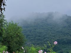 -潭柘厚院(桑峪村店)