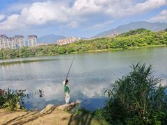 -飞来湖湿地公园