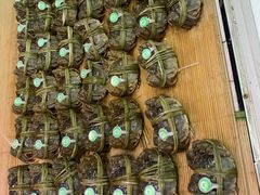 -北国超市(益元店)