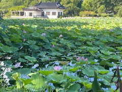 -范蠡湖公园