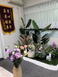 -寇氏减肥