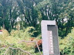 -老山国家森林公园