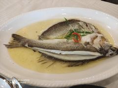 清蒸海鲈鱼-江南村酒家