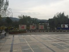 -香雪海