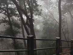 -灵顺寺
