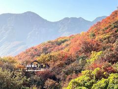 -周口店坡峰岭风景区