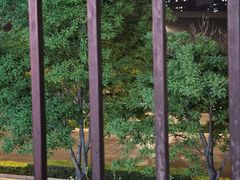 -小田油焖小龙虾(双井店)