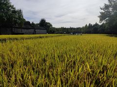 -北坞公园