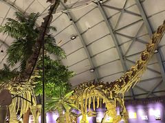 -辽宁古生物博物馆