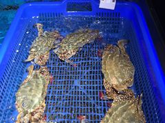 -盒马鲜生(岭南新世界店)